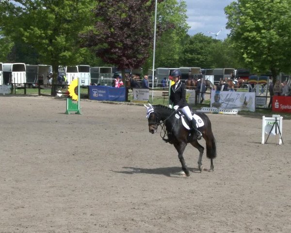 Reitturnier Ahlen 2019