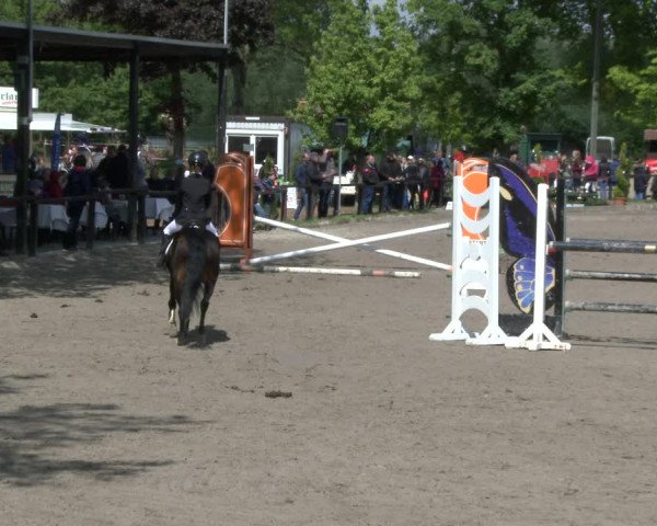 Reitturnier Ahlen 2019