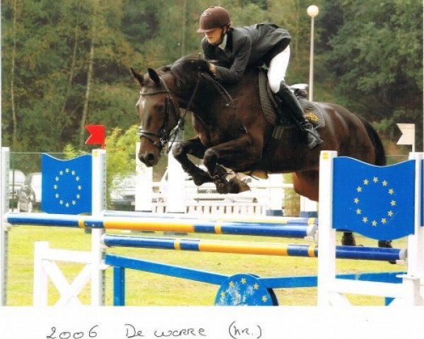 broodmare Abdella C (Belgian Warmblood, 2000, from Flamenco de Semilly)