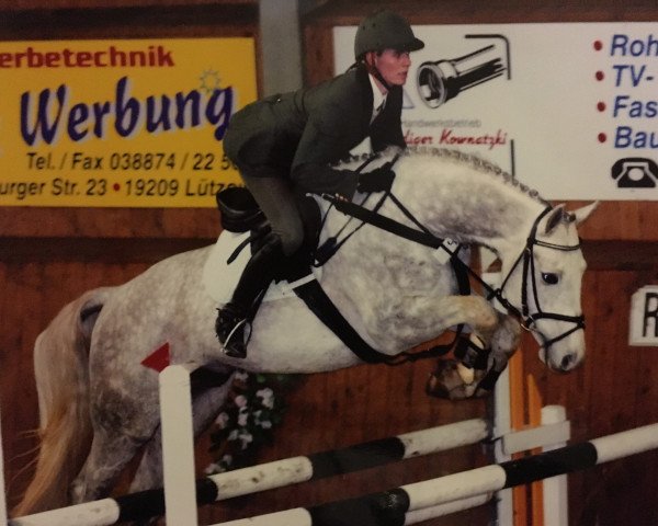 Springpferd Aldebaran (Mecklenburger, 2000, von Adeptus)