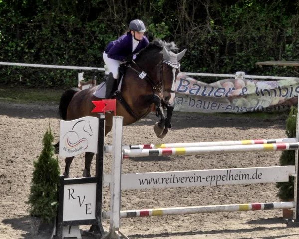 Reitturnier Eppelheim 2019