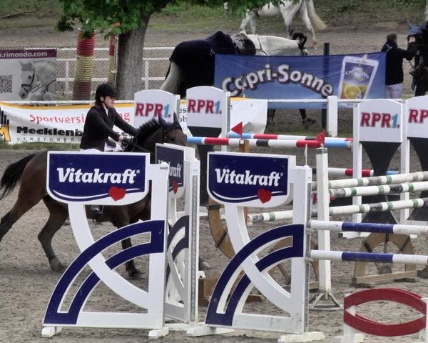 Reitturnier Eppelheim 2019