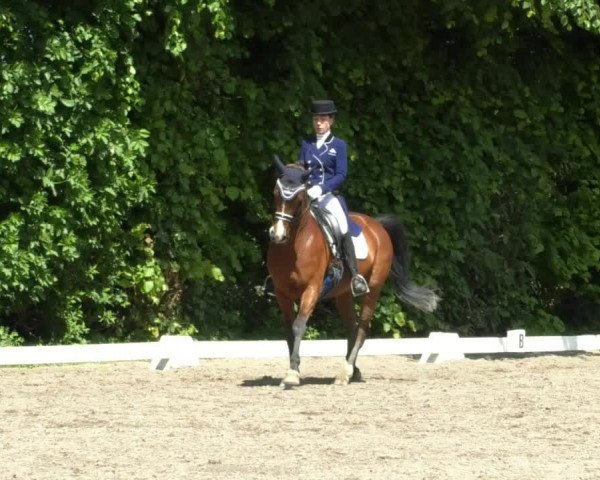 Reitturnier Eppelheim 2019