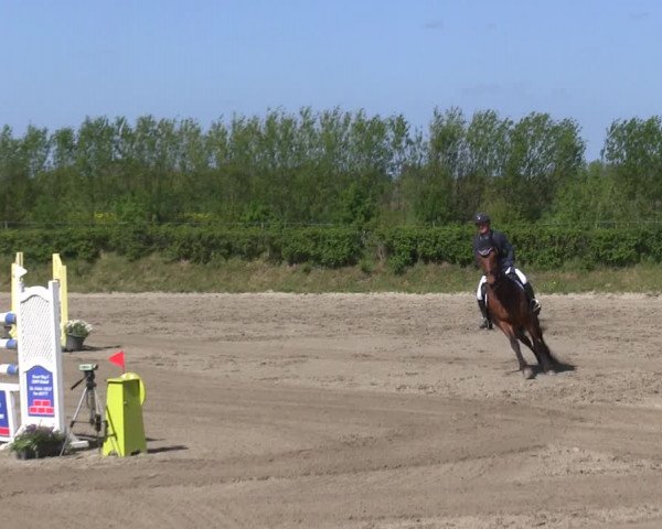 Reitturnier Risum-Lindholm 2019