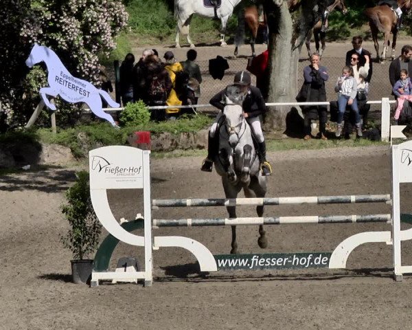 Reitturnier Eppelheim 2019