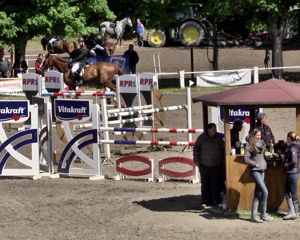 Reitturnier Eppelheim 2019