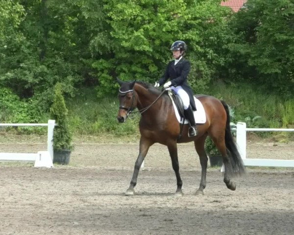 Reitturnier Eppelheim 2019