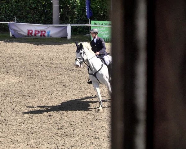 Reitturnier Eppelheim 2019
