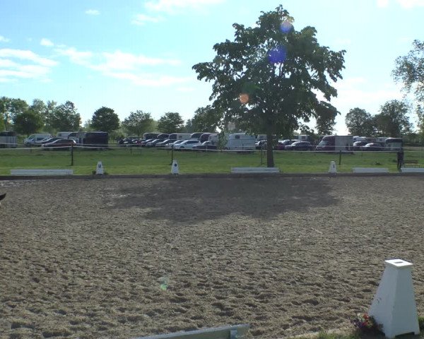 Reitturnier Ahlen 2019