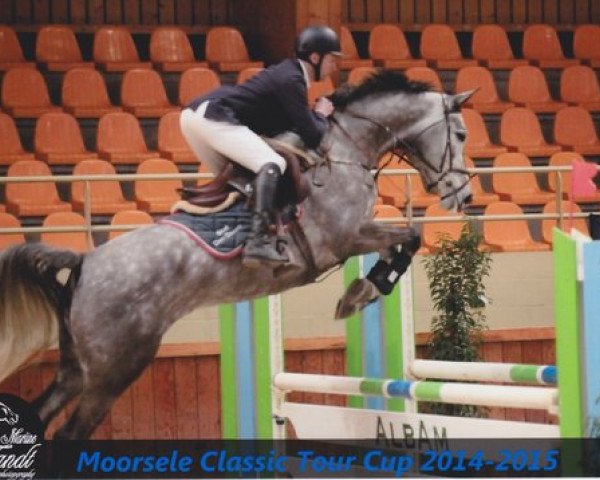 broodmare Elke Maria (KWPN (Royal Dutch Sporthorse), 2009, from Cornet Obolensky)