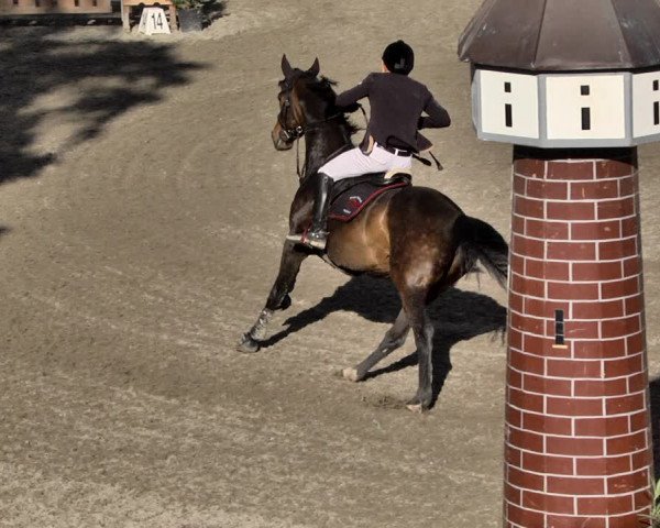 Reitturnier Eppelheim 2019
