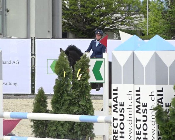Reitturnier Horn 2019