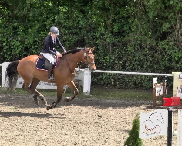 Reitturnier Eppelheim 2019
