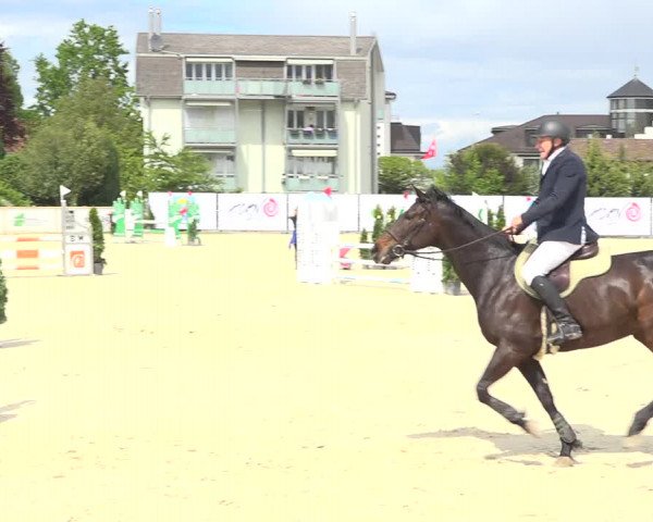 Reitturnier Horn 2019