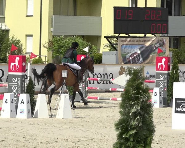 Reitturnier Horn 2019