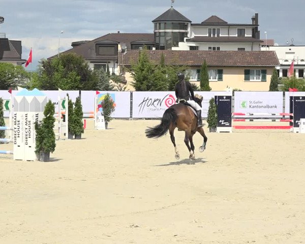 Reitturnier Horn 2019