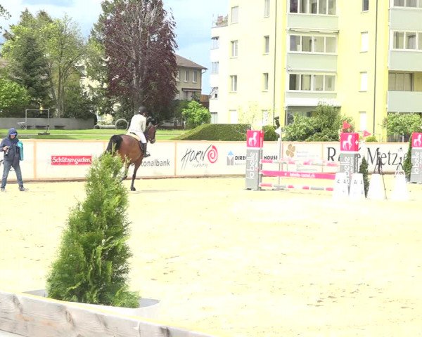 Reitturnier Horn 2019