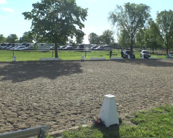Reitturnier Ahlen 2019