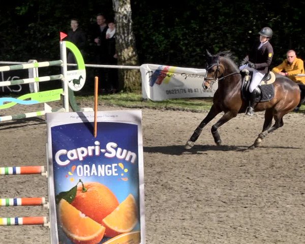 Reitturnier Eppelheim 2019