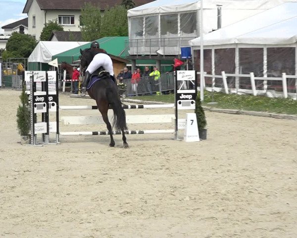 Reitturnier Horn 2019