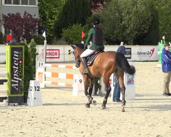Reitturnier Horn 2019