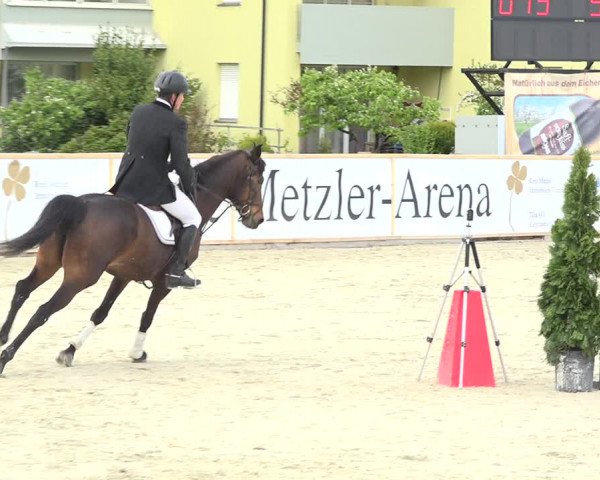 Reitturnier Horn 2019