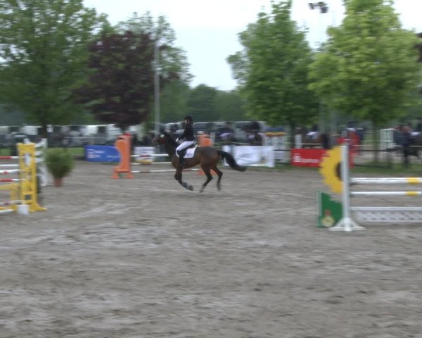 Reitturnier Ahlen 2019