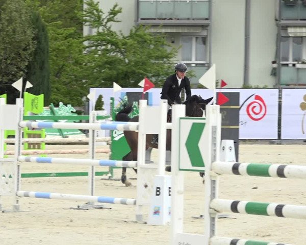 Reitturnier Horn 2019