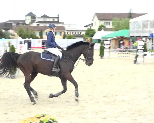 Reitturnier Horn 2019