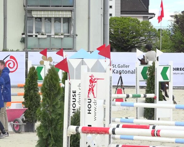 Reitturnier Horn 2019