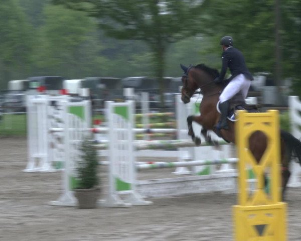 Reitturnier Ahlen 2019