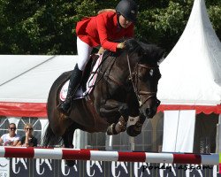 jumper Tonlyn Bobby's Girl (Welsh, 2005, from Abersyfi Moonlight)