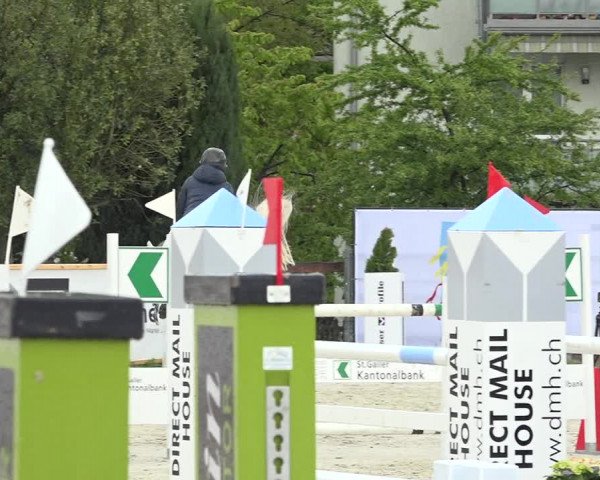Reitturnier Horn 2019