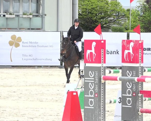 Reitturnier Horn 2019
