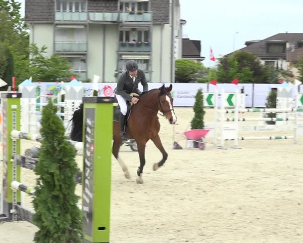Reitturnier Horn 2019