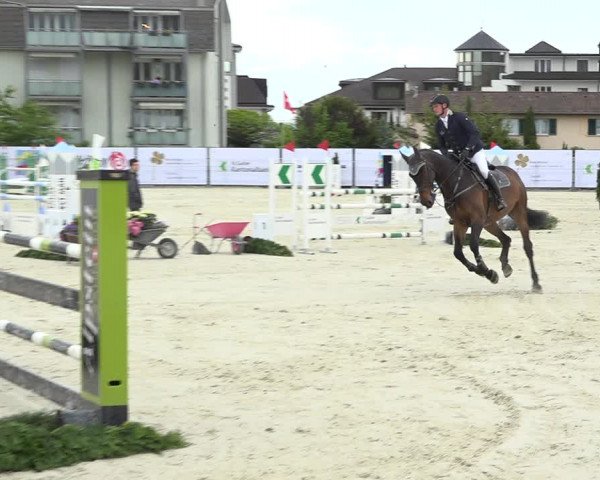 Reitturnier Horn 2019
