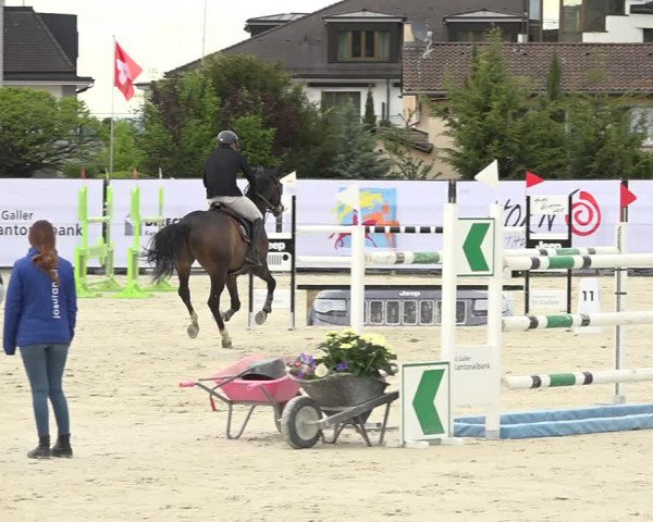 Reitturnier Horn 2019