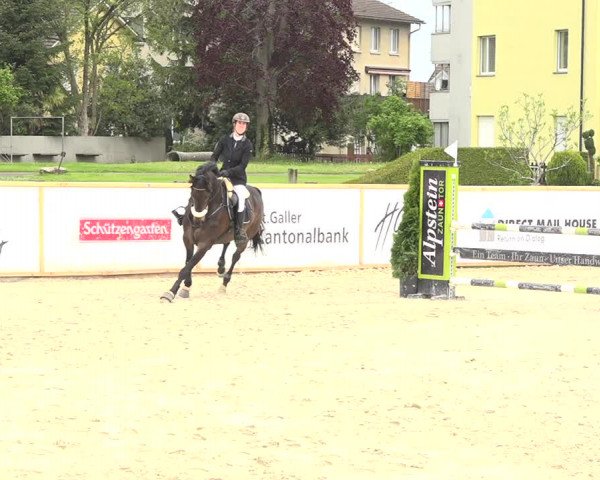 Reitturnier Horn 2019