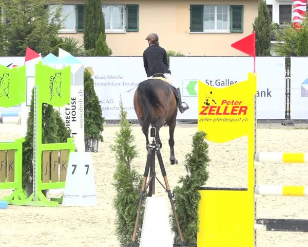 Reitturnier Horn 2019