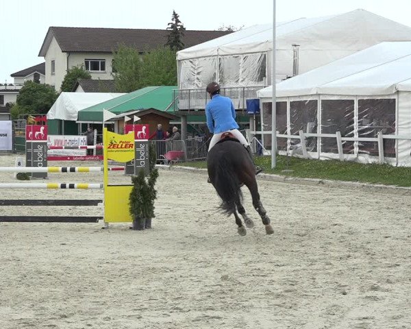 Reitturnier Horn 2019