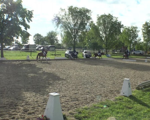 Reitturnier Ahlen 2019