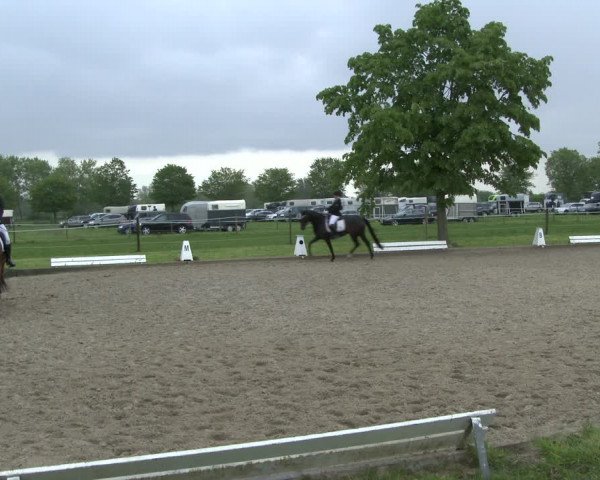 Reitturnier Ahlen 2019
