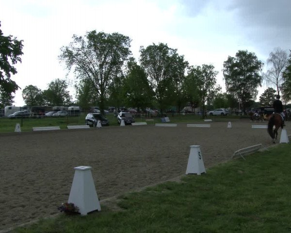 Reitturnier Ahlen 2019