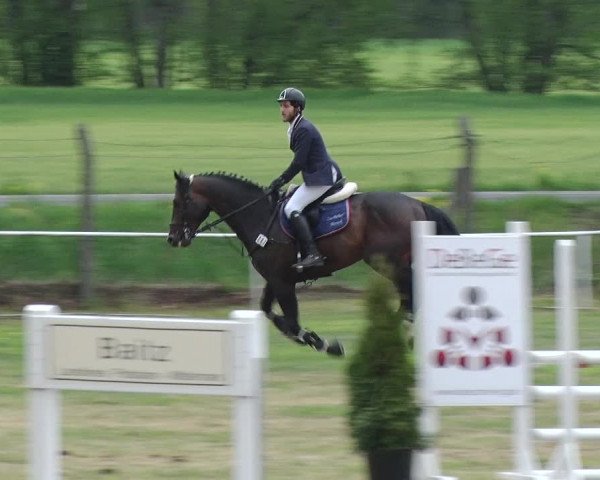 Reitturnier Schwanebeck 2019