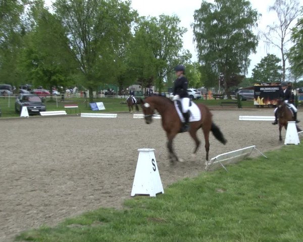 Reitturnier Ahlen 2019