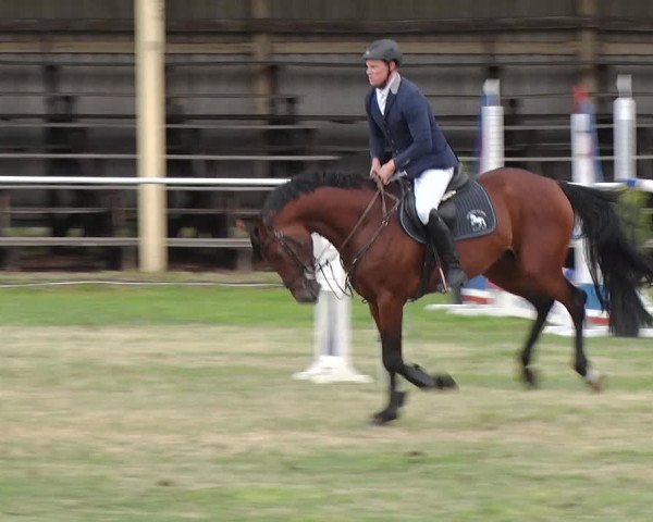 Reitturnier Schwanebeck 2019