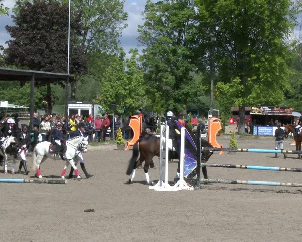 Reitturnier Ahlen 2019