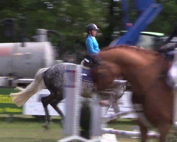 Reitturnier Meppen 2019