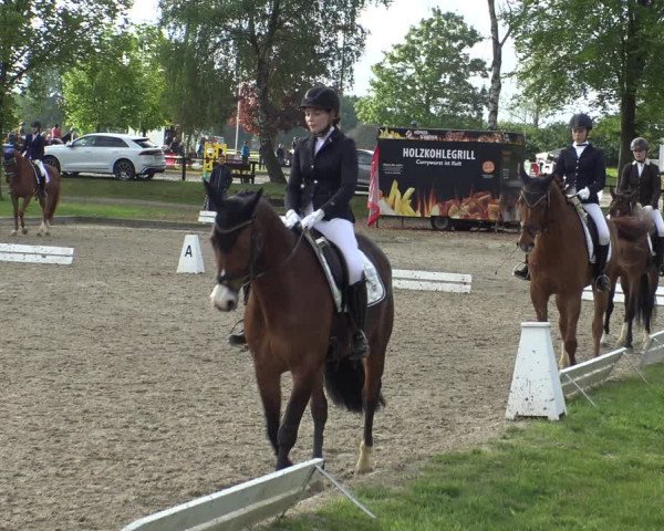 Reitturnier Ahlen 2019