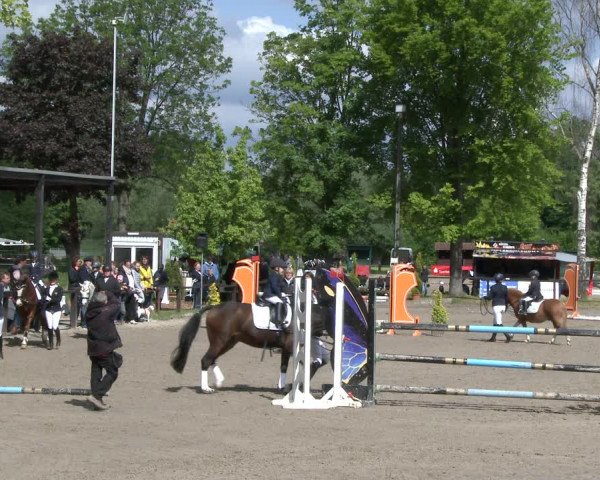 Reitturnier Ahlen 2019